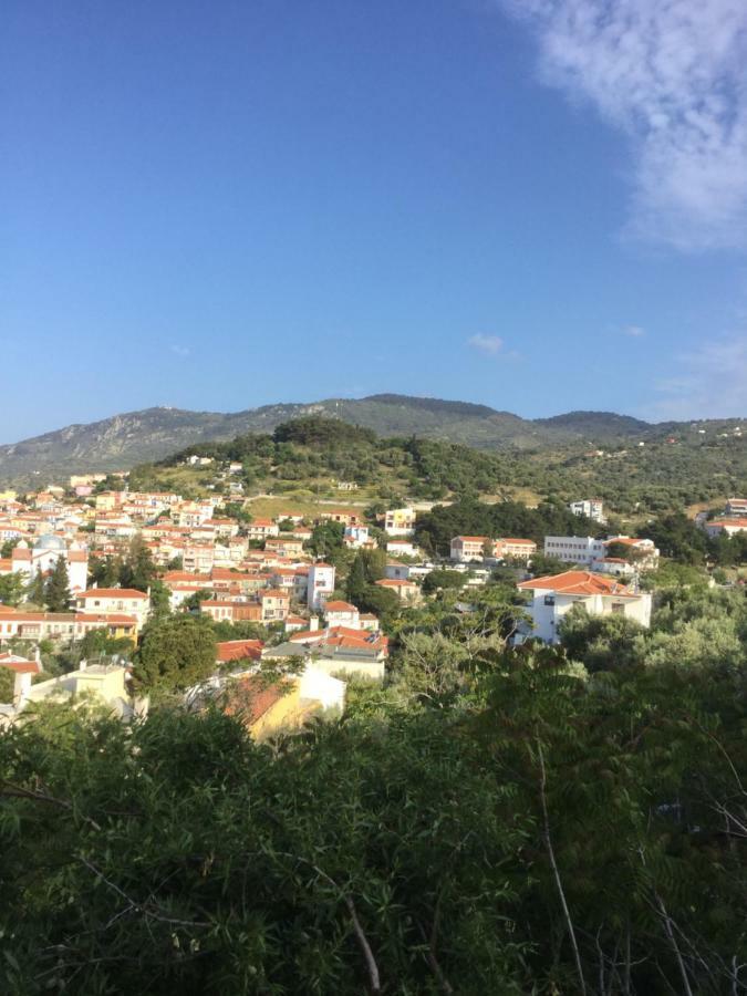 Panorama Apartments Plomari Exterior foto